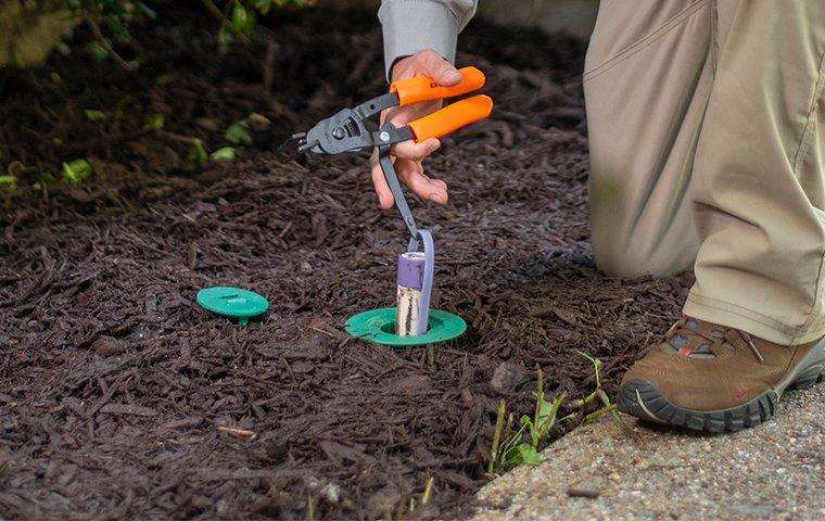 Termite-inspection-company-florence-ky Termite-inspection-company-florence-ky