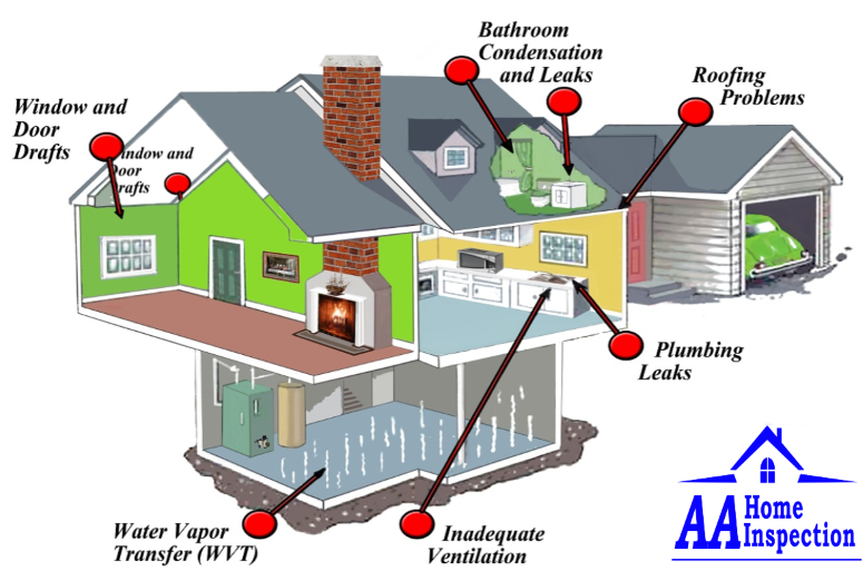 mold-inspection-company-northern-ky mold-inspection-company-northern-ky