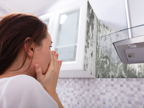 Mold-inspection-florence-ky