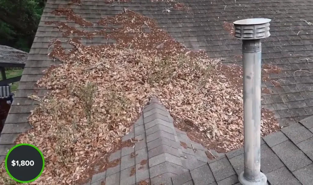 Roof-damage-during-house-inspection