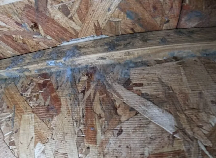 Mold-inspector-in-Cincinnati Mold-inspector-in-Northern-KY
